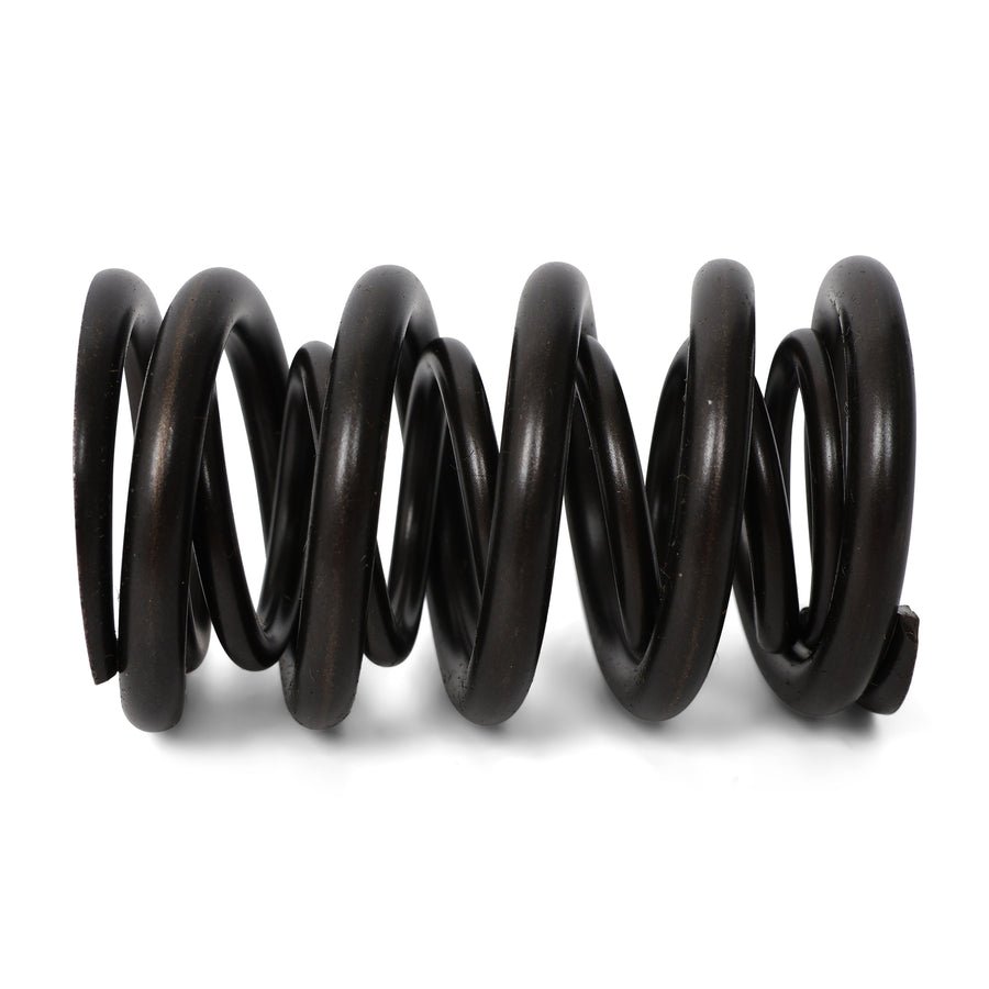 Valve Springs - F - Series DOHC VTEC - BLOX Racing