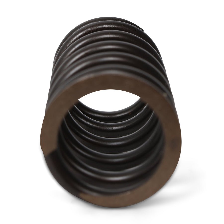 Valve Springs - F - Series DOHC VTEC - BLOX Racing