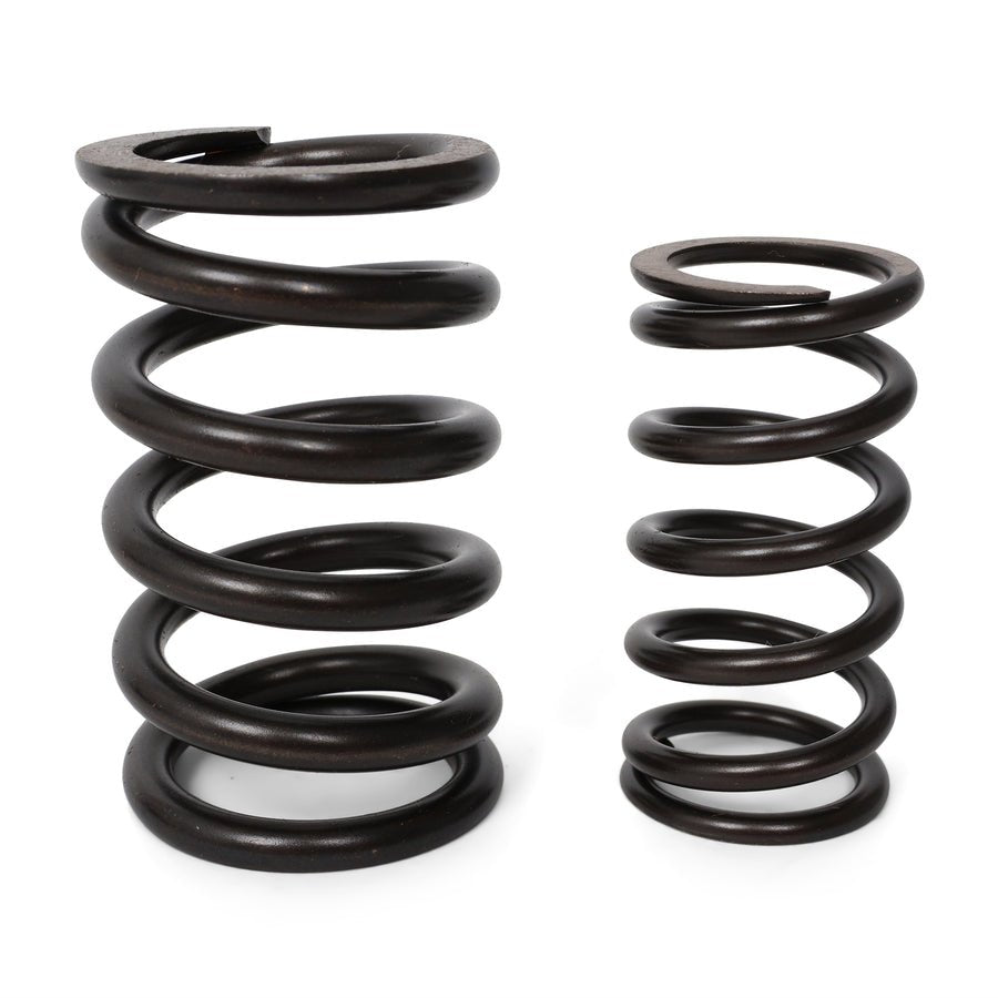 Valve Springs - F - Series DOHC VTEC - BLOX Racing