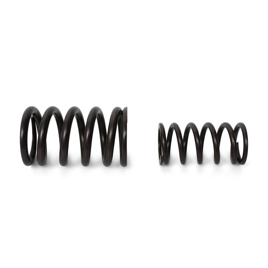 Valve Springs - F - Series DOHC VTEC - BLOX Racing