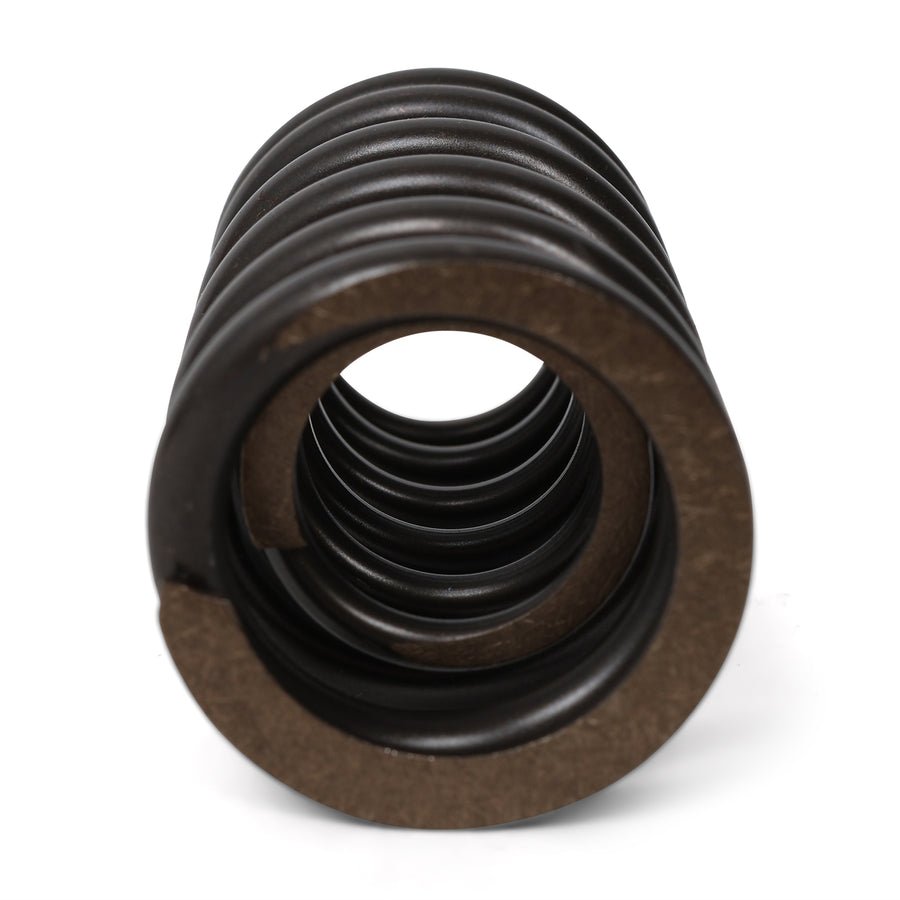 Valve Springs - F - Series DOHC VTEC - BLOX Racing