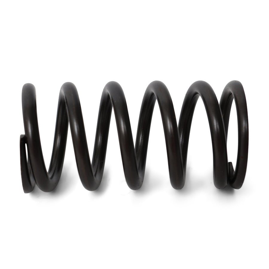 Valve Springs - F - Series DOHC VTEC - BLOX Racing