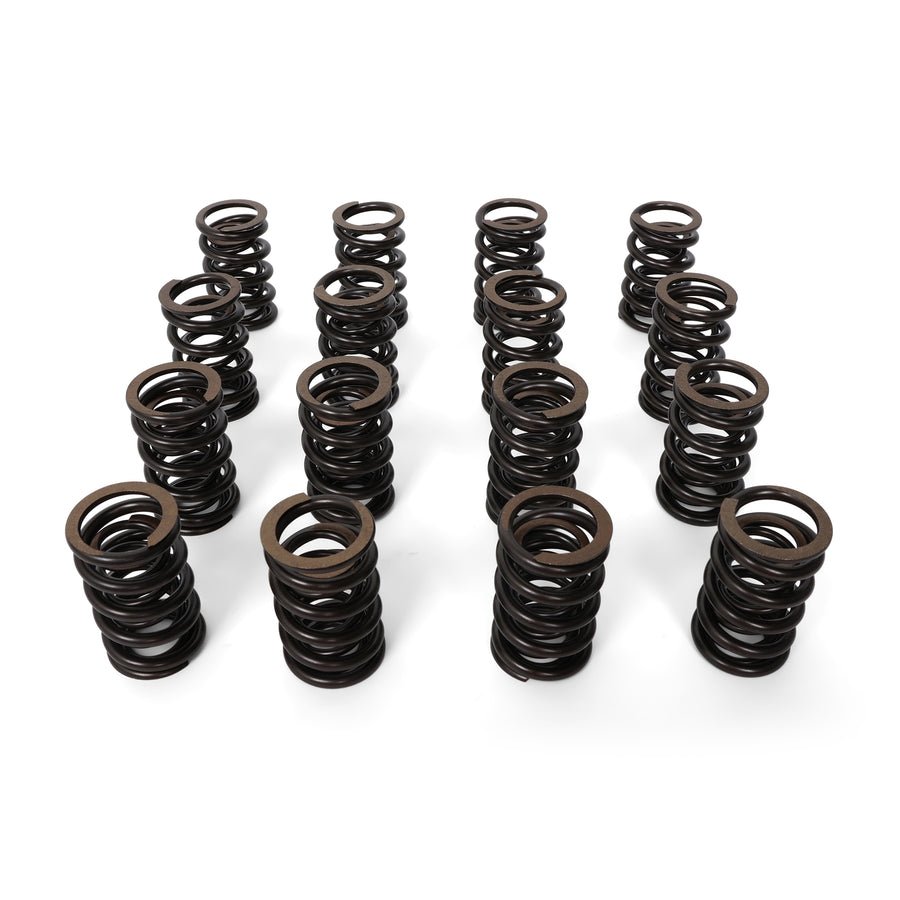 Valve Springs - F - Series DOHC VTEC - BLOX Racing